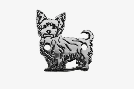 Yorkshire Terrier 2