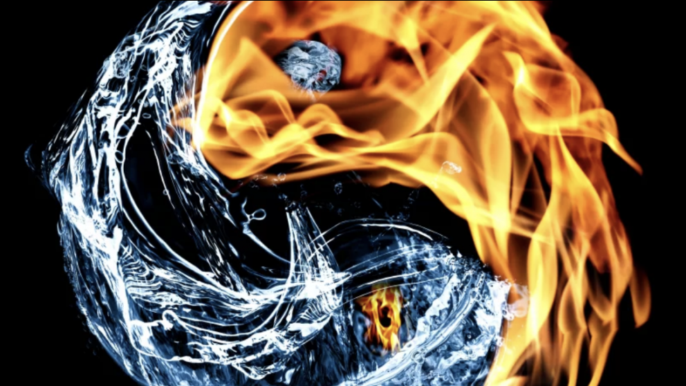 Die Bedeutung von Yin und Yang | Zilia Jewelry