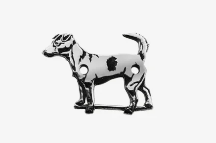 Jack-Russell-Terrier 2