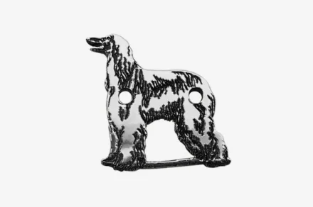 Afghanischer Windhund 2