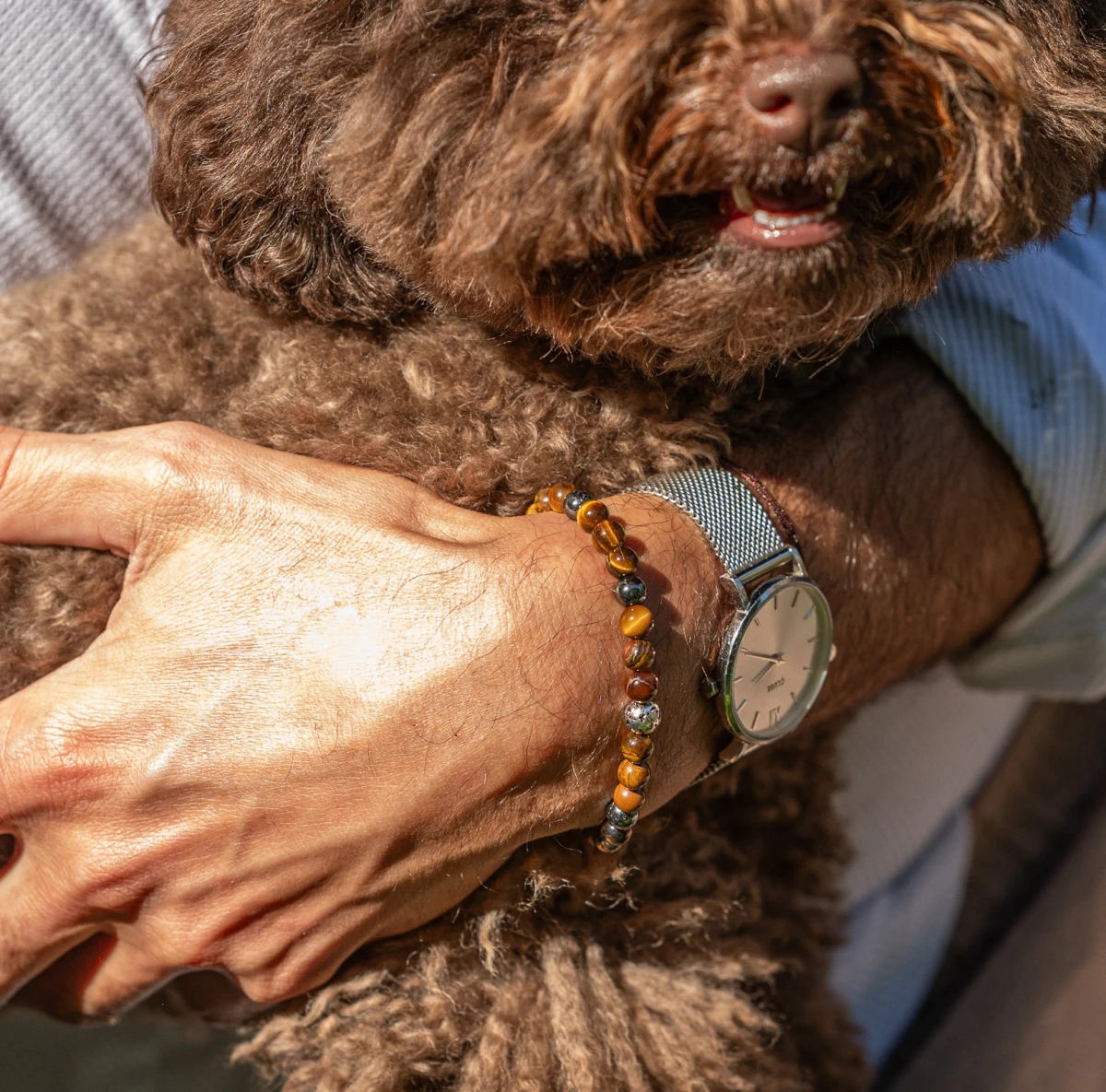 ZILIA Tiger's Eye Men 4 Silber 925 Armband